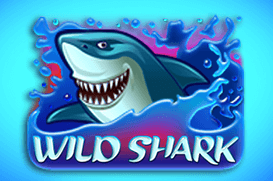 Wild Shark Wild Shark